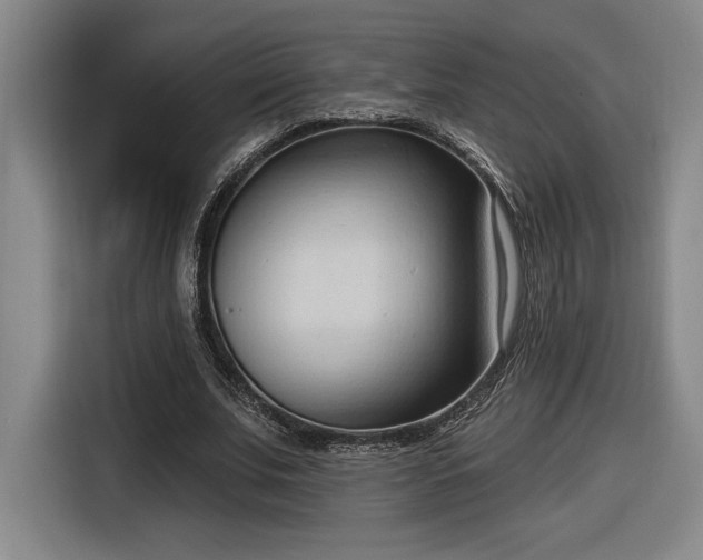 X0000116510679200912161339