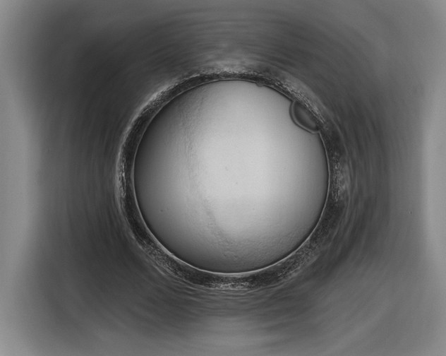 X0000116510680200912161339