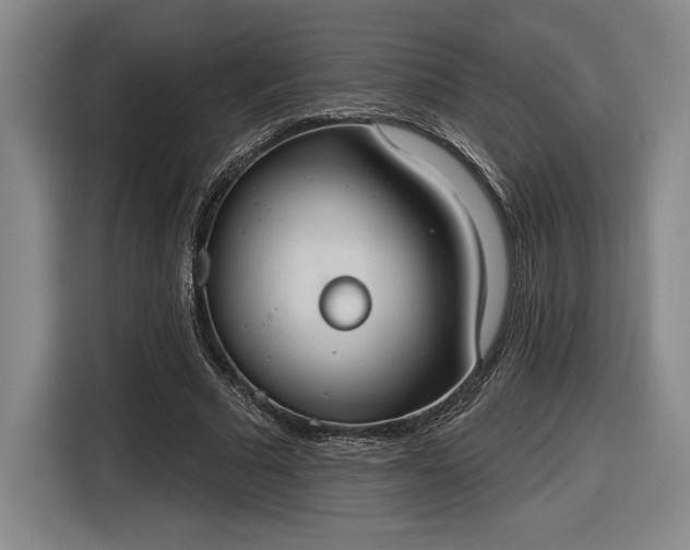 X0000116510681200912161339