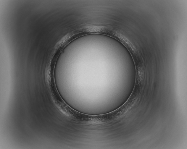 X0000116510682200912161339