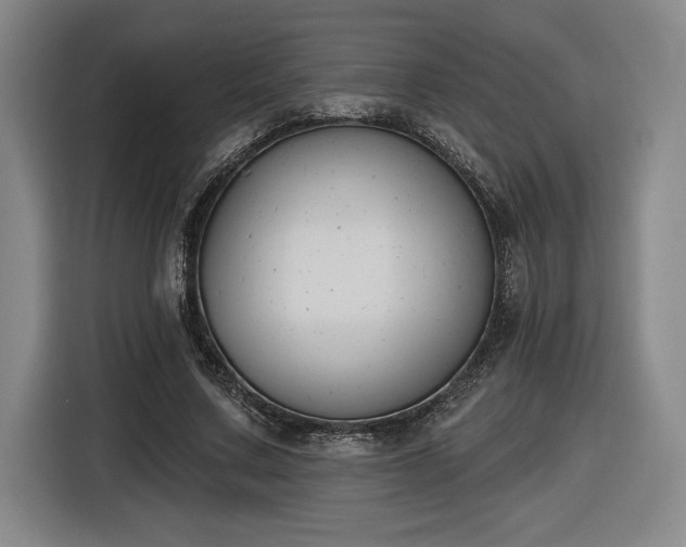 X0000116510683200912161339