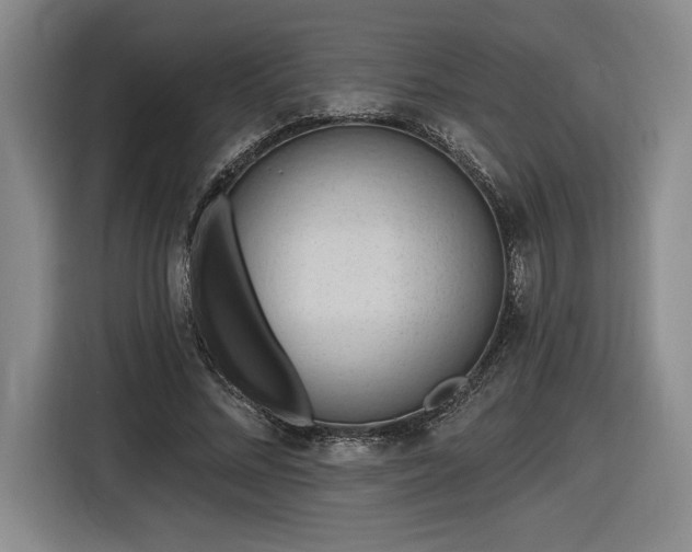 X0000116510684200912161339