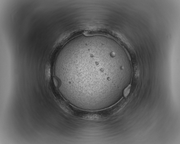 X0000116510685200912161339