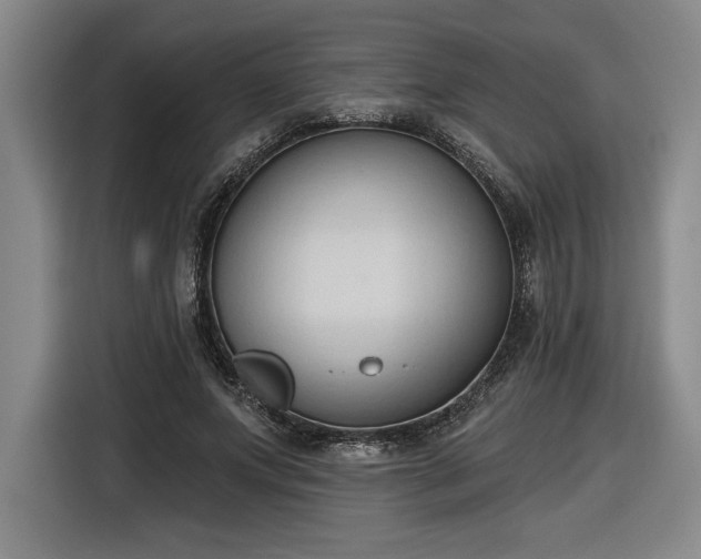 X0000116510687200912161339