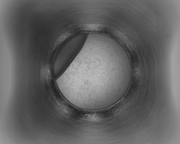 X0000116510688200912161339