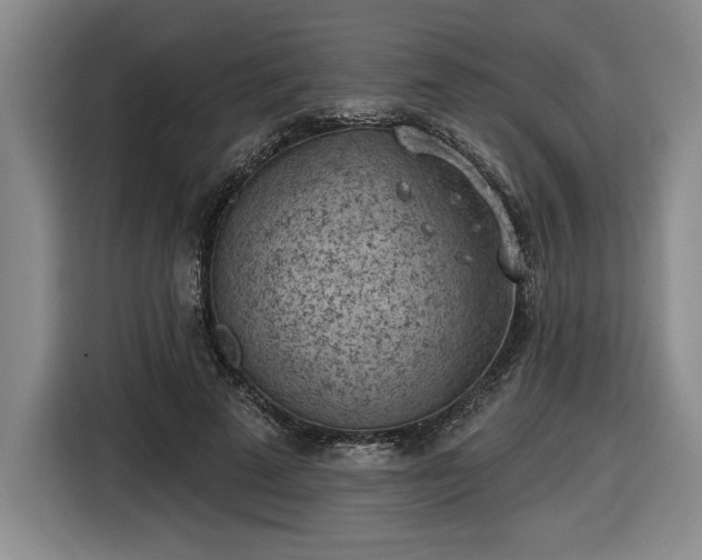 X0000116510689200912161339