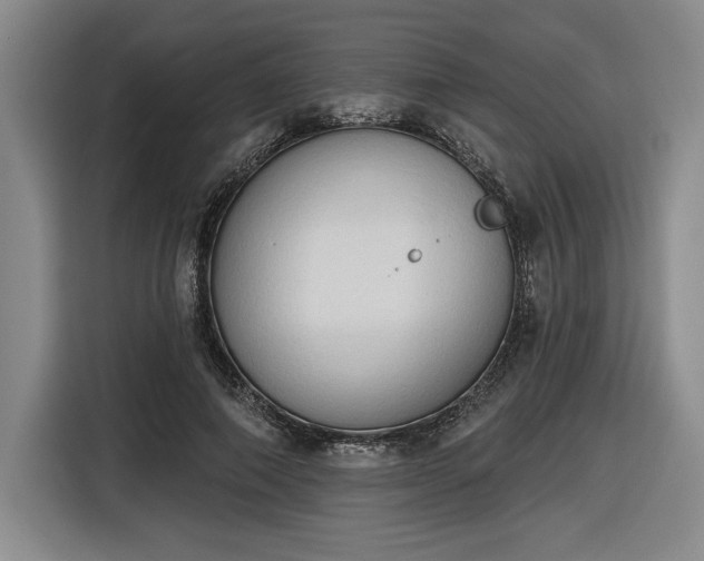 X0000116510690200912161339