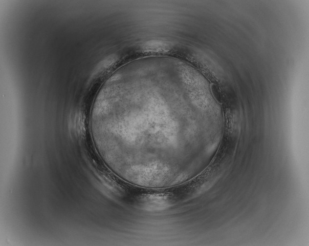 X0000116510692200912161339