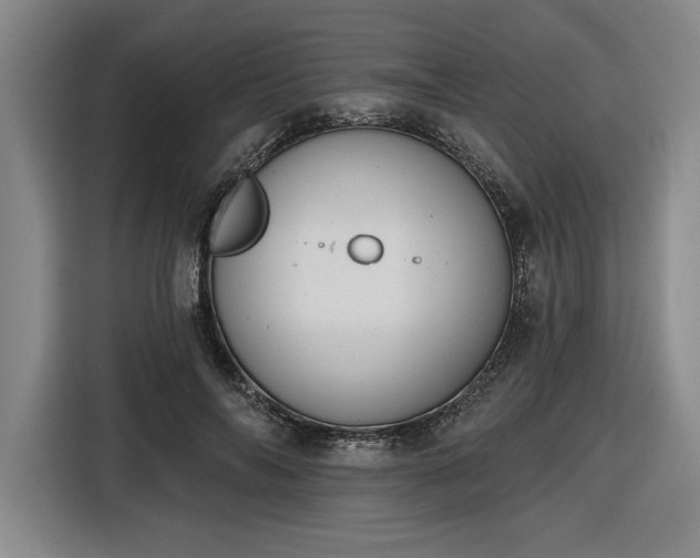 X0000116510694200912161339