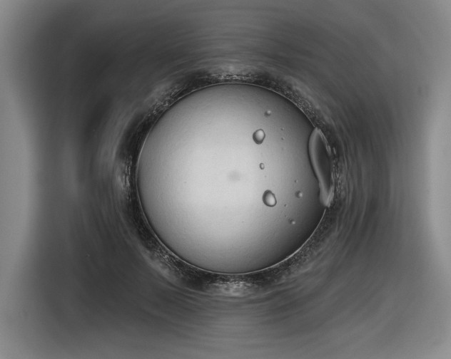 X0000116510695200912161339