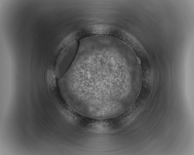 X0000116510696200912161339