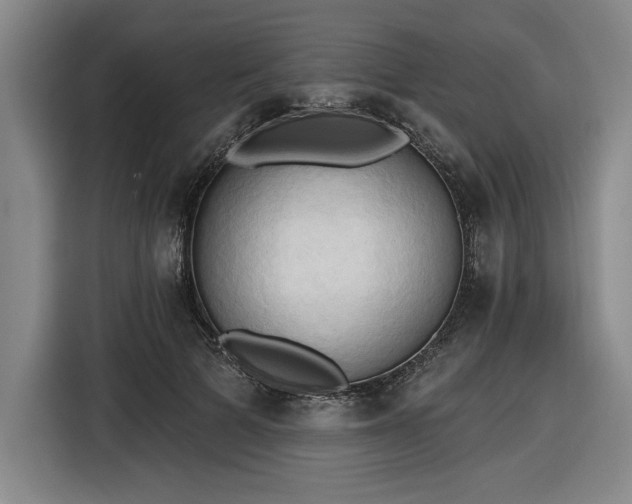 X0000116510697200912161339