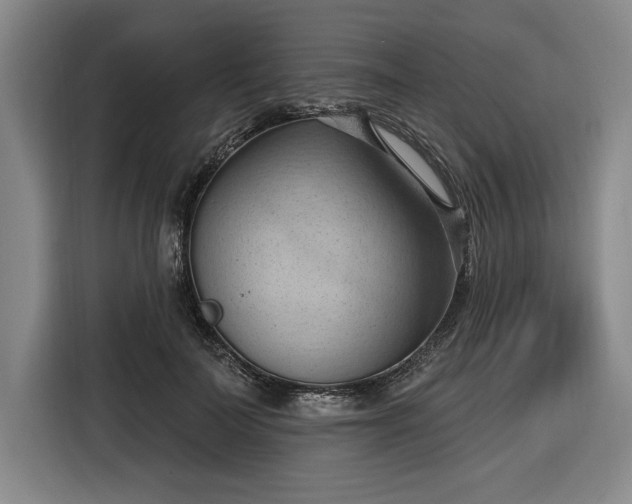 X0000116510699200912161339