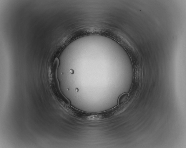 X0000116510700200912161339