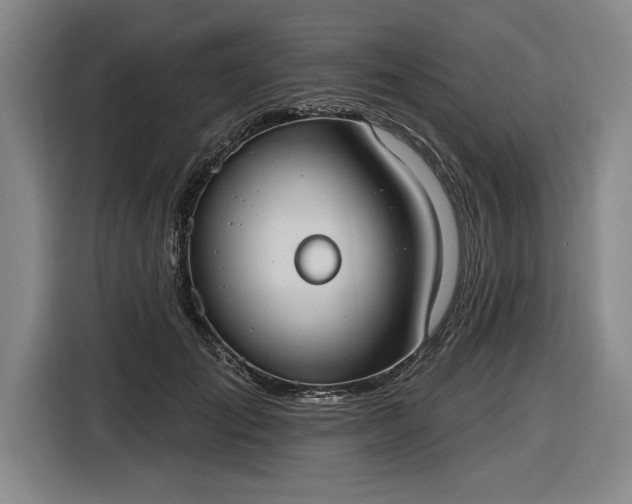 X0000116510701200912161339