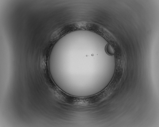 X0000116510702200912161339