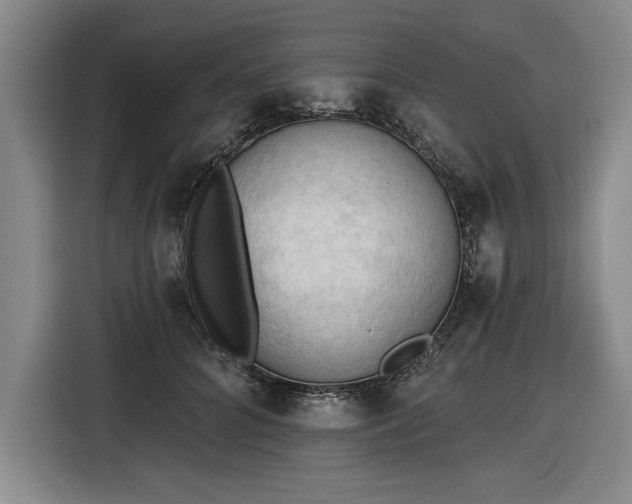 X0000116510704200912161339