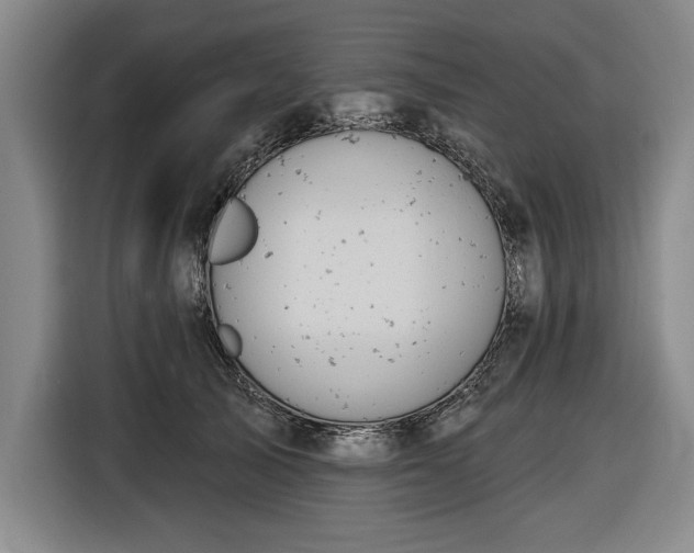 X0000116510705200912161339