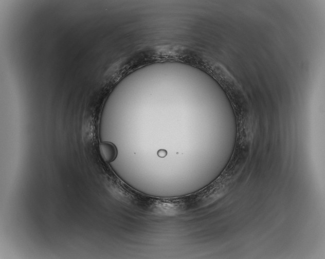 X0000116510706200912161339