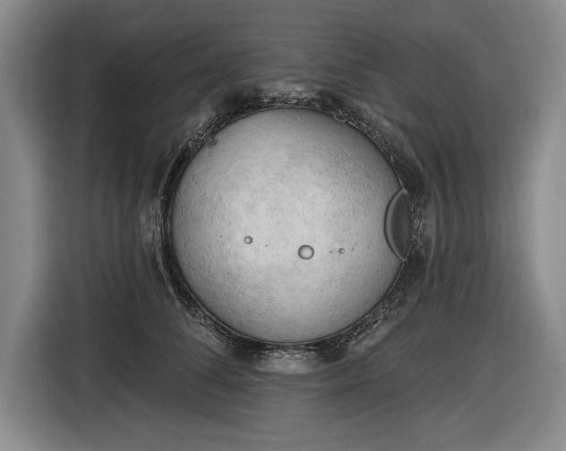 X0000116510708200912161339