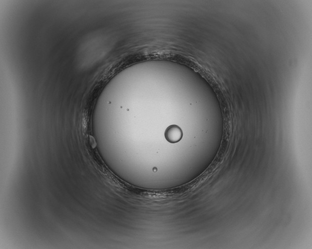 X0000116510709200912161339