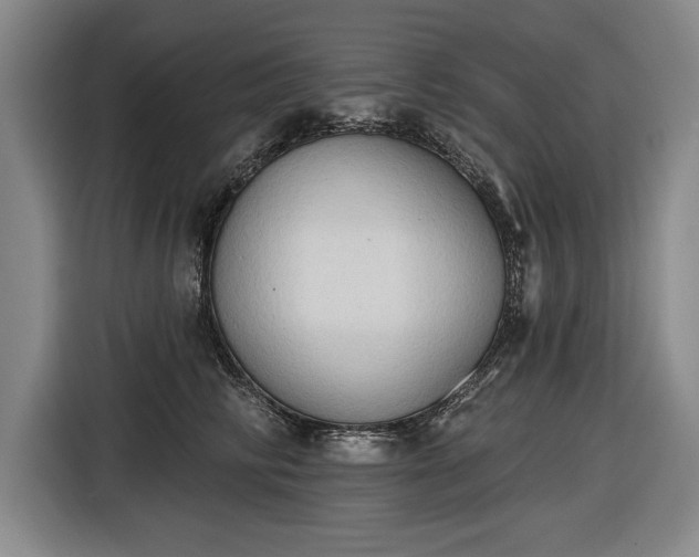 X0000116510710200912161339