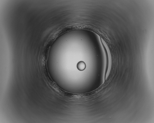 X0000116510713200912161339