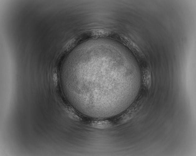 X0000116510716200912161339