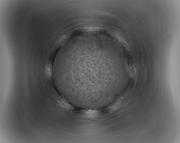 X0000116510718200912161338