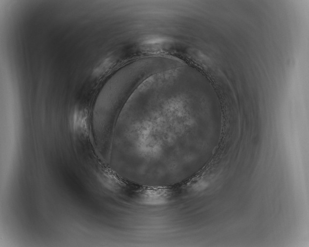 X0000116510720200912161338