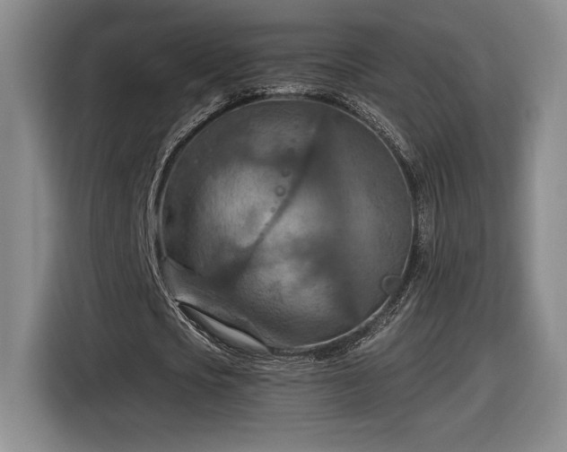 X0000116510721200912161338