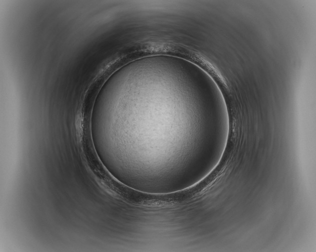 X0000116510722200912161338