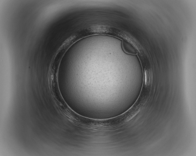 X0000116510723200912161338