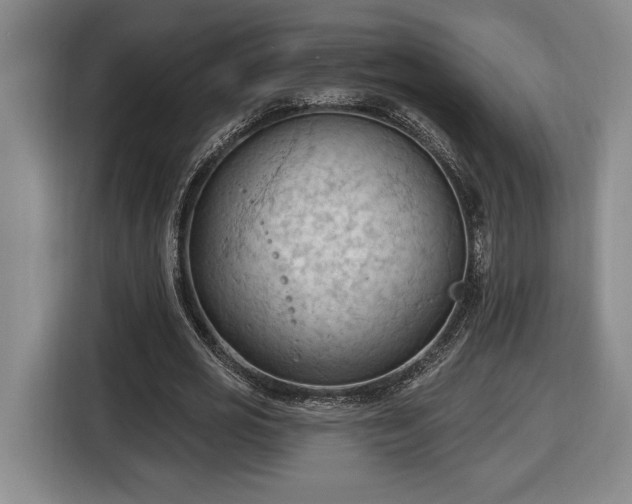 X0000116510725200912161338