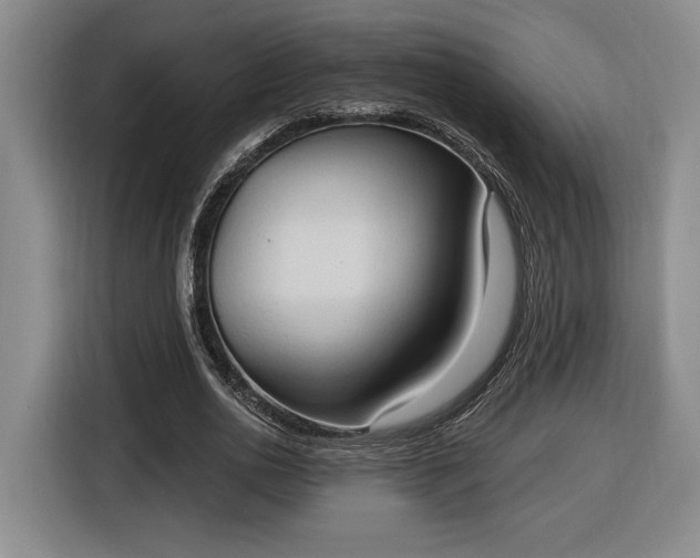 X0000116510726200912161338