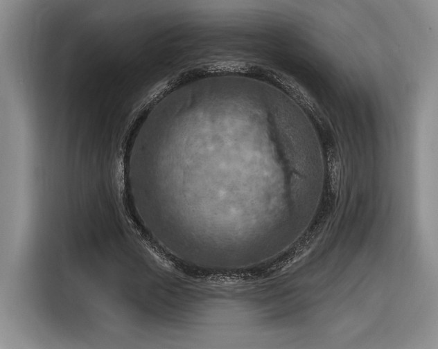 X0000116510729200912161338