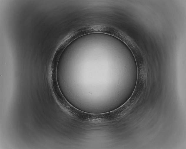 X0000116510730200912161338