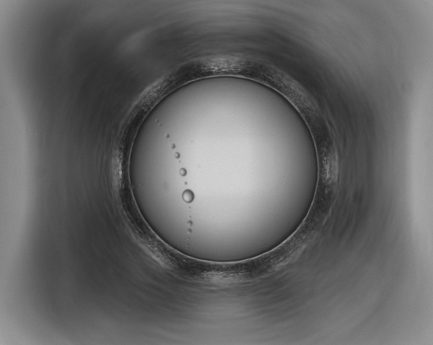 X0000116510733200912161338