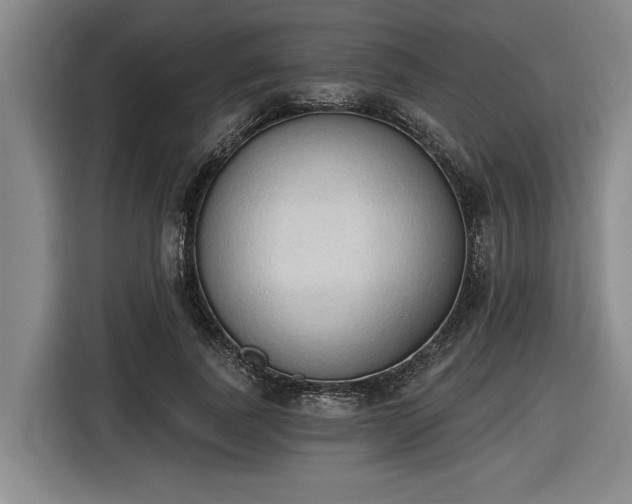 X0000116510739200912161338