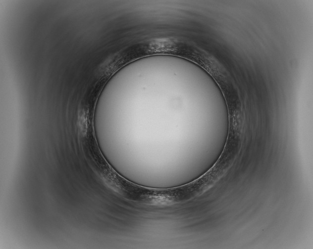 X0000116510741200912161338