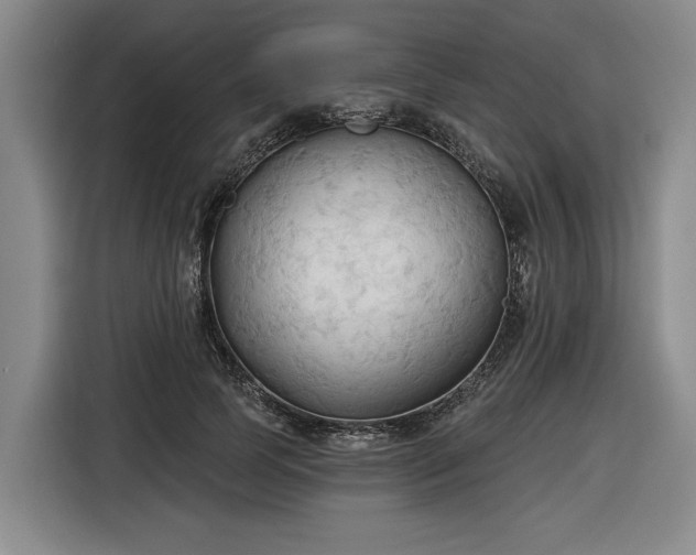 X0000116510745200912161338