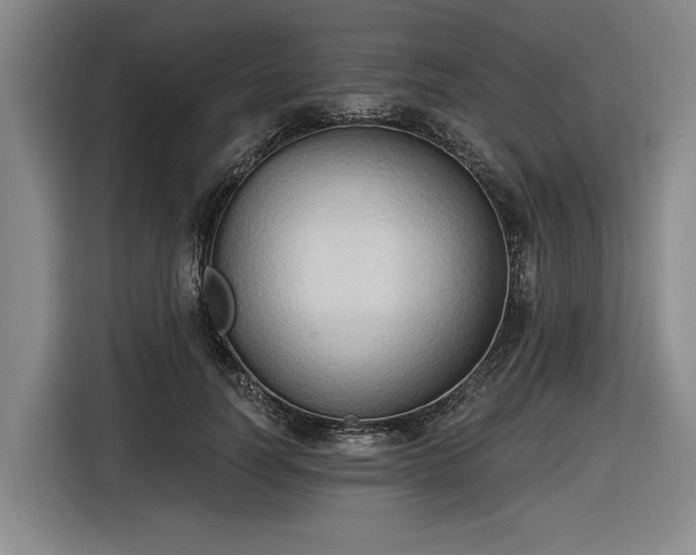 X0000116510746200912161338