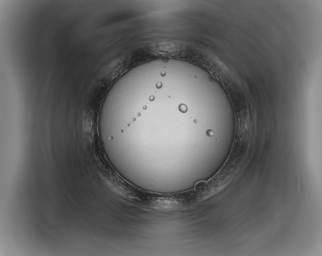 X0000116510749200912161338