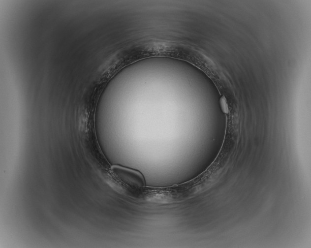 X0000116510750200912161338