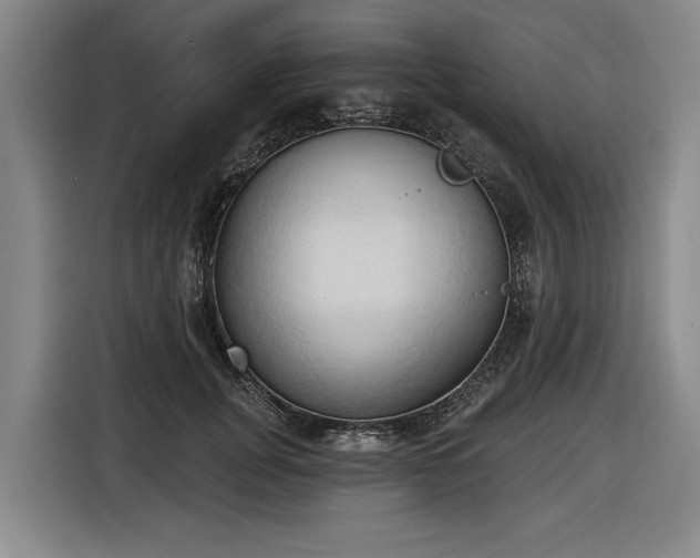 X0000116510751200912161338