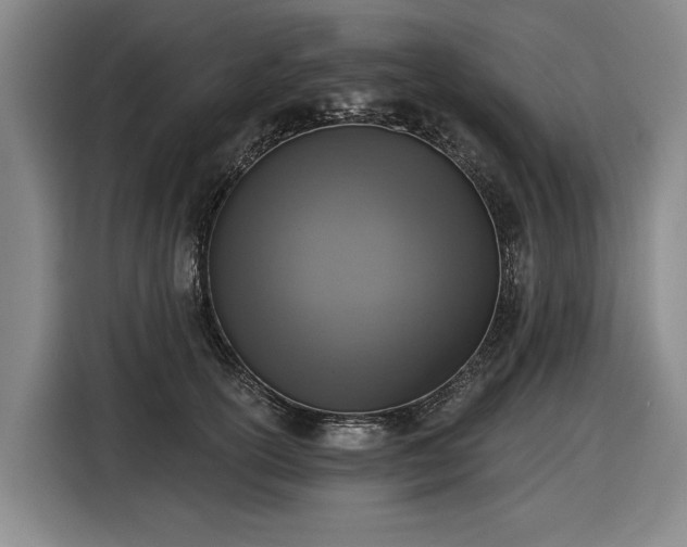 X0000116510754200912161338