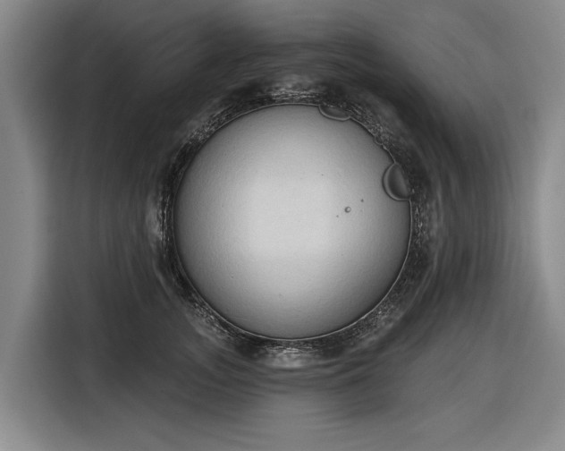 X0000116510755200912161338