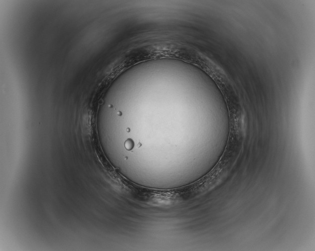 X0000116510757200912161338