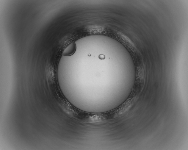 X0000116510761200912161338