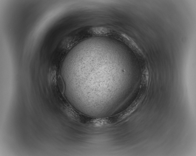 X0000116510762200912161338